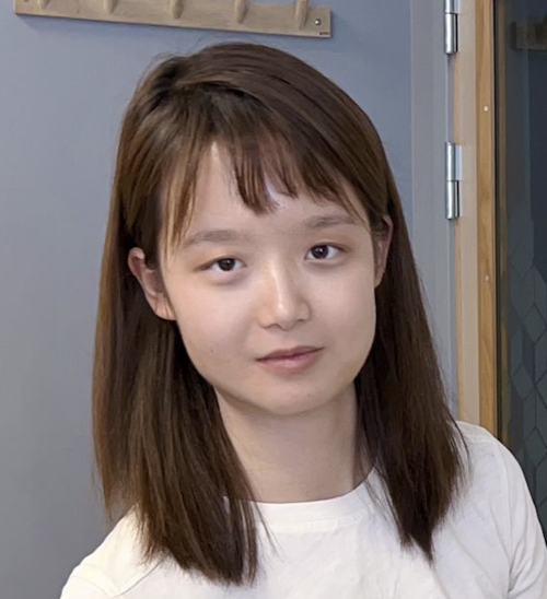 Link to Qinyi Liu | University of Bergen